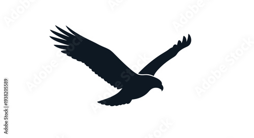 Black Bird Silhouette Flying in Air.