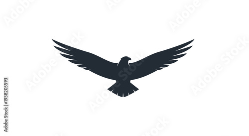 Black Bird Silhouette in Flight Position.