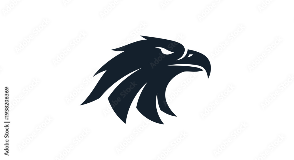 Fototapeta premium Black Eagle Bird Head Profile View.