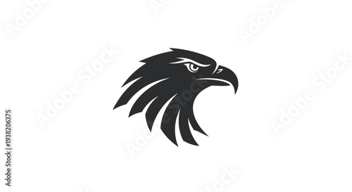 Black Eagle Bird Head Profile View.