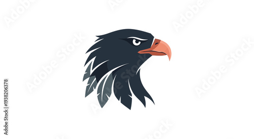 Black Eagle Bird Head Profile.