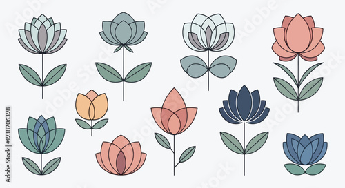 A delightful array of colorful floral illustrations showcasing various types of flowers