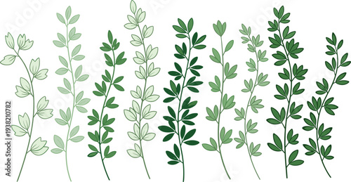 Green Leaf Branches Collection with Botanical Foliage Elements Natural Plant Leaves Set Vector Illustration