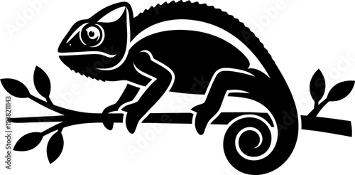 Chameleon on branch with curled tail silhouette