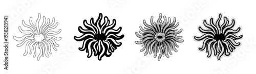 Sea anemone illustrations in various black and white styles showcasing intricate organic patterns and textures.