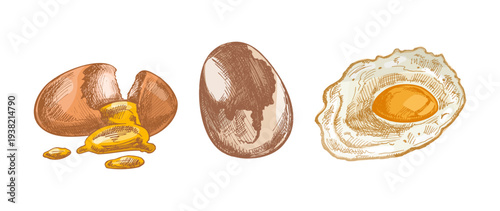 Hand drawn vintage egg set cracked egg raw egg and fried egg engraving style food illustration