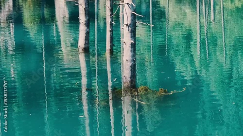 Clear turquoise water with reflections of wooden poles and a submerged turtle swimming near the surface.