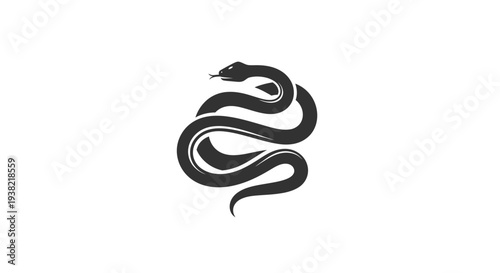 Black Snake Illustration Curled Up.