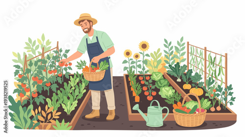 Man harvesting fresh vegetables from a lush garden.