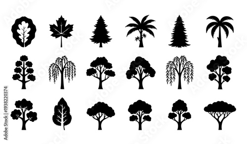 Black tree silhouettes vector icon set with oak maple pine palm willow and forest trees isolated on white background