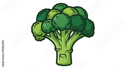 Fresh Green Broccoli Vegetable Closeup.