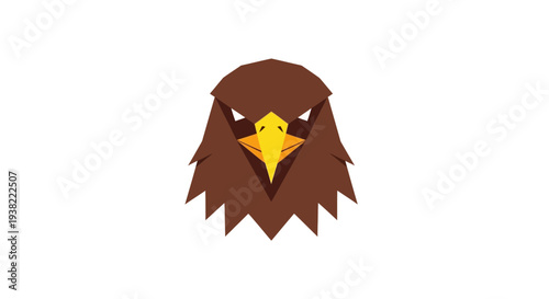 Brown Eagle Bird Head Closeup Portrait.