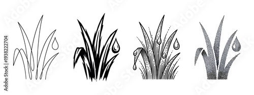 Stylized illustrations of grass with water drops showcasing various artistic drawing techniques on a clean surface.