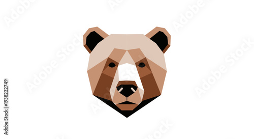 Brown bear face closeup illustration.