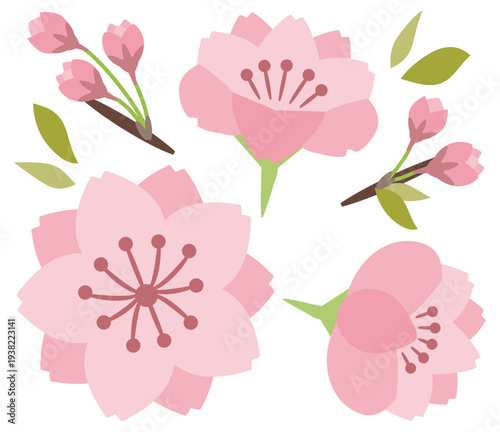 八重桜の花と蕾