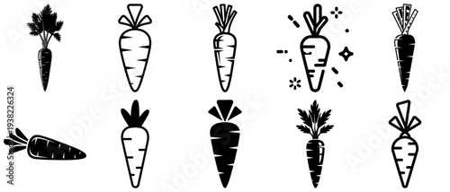 Set of Carrot Icons and Illustrations
