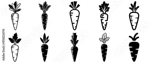 Set of Carrot Icons and Illustrations