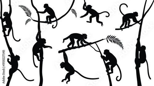 Monkey silhouettes climbing on jungle vines and trees set, primate animal icons for tropical nature, wildlife conservation and zoo vector illustration