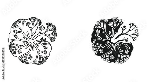 Coral Branch Silhouette Marine Biology Design Element