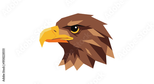 Brown Eagle Head Illustration with Beak.