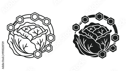 Cabbage Hexagonal Grid Science