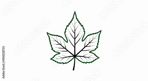 Stylized graphic of a single green-bordered five-lobed leaf