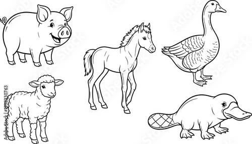 Cartoon line illustrations of pig, horse, goose, sheep, and platypus with clear outlines representing farm animals and unique wildlife diversity