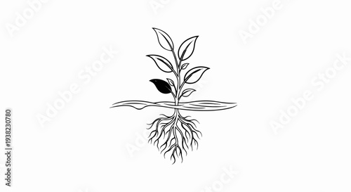 Stylized sketch of a plant with visible roots and leaves