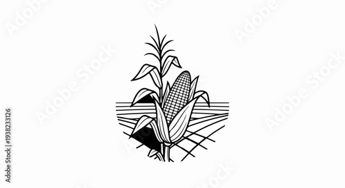 Black and white line art of a ripe corn cob and stalk with rows of farmland
