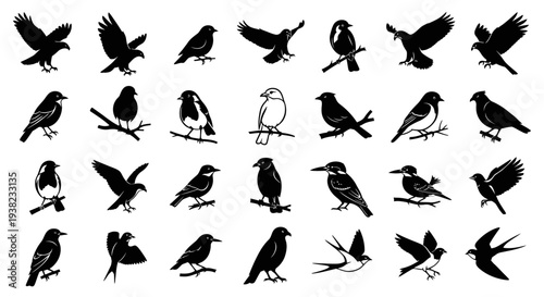 Black Bird Silhouettes Flying and Perching on Branches Isolated on White