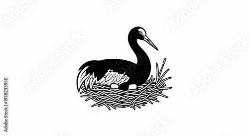 Black bird sits in a nest with three white eggs