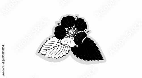 Black and white drawing of a single strawberry blossom with leaves