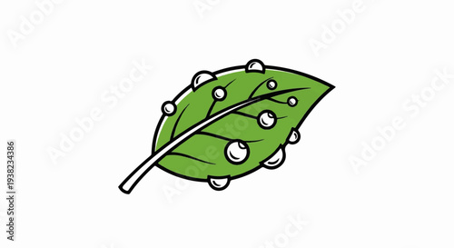 Green leaf with dew drops and visible veins