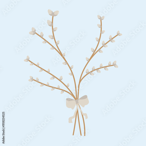 Bouquet of pussy willow branches tied with ribbon on soft blue background. Minimal spring botanical illustration with willow twigs and catkins. Traditional Easter and Palm Sunday decoration in pastel 