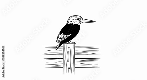 Illustration of a kingfisher perched on a wooden fence post