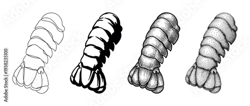 Lobster shrimp prawn crayfish tails seafood graphic elements presented in outline, solid, engraved, and stipple styles.