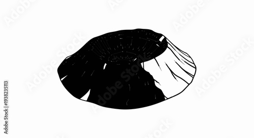 Stylized black and white drawing of a volcano erupting