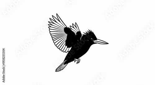 Black and white illustration of a kingfisher in flight, wings spread wide