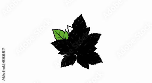 A cluster of black leaves with a hint of green