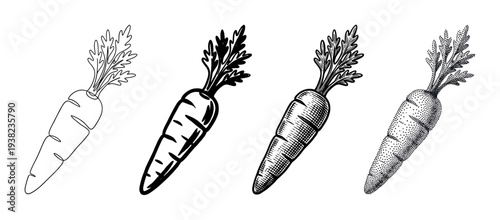 Four distinct black and white carrot drawings illustrating different artistic techniques and detailed textures.