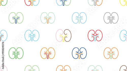 Colorful kidney icons in various colors on white background for medical concepts  human organ illustrations