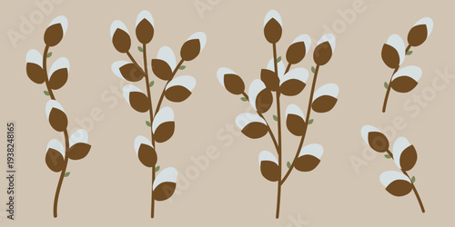 Spring willow branches with fluffy catkins and small green leaves. Decorative botanical elements perfect for seasonal banners, greeting cards, invitations and Easter design