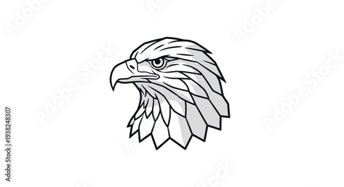 Close up of Eagle Bird Head.