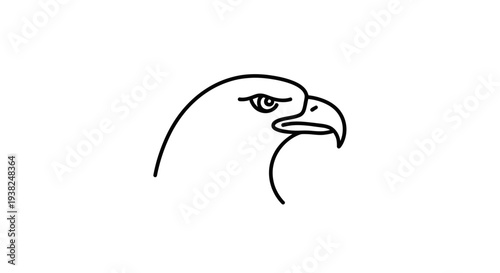 Close up of eagle head.