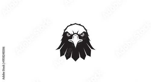 Close up of eagle head.