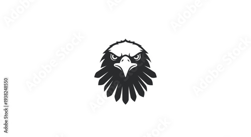 Closeup of Bald Eagle Head.