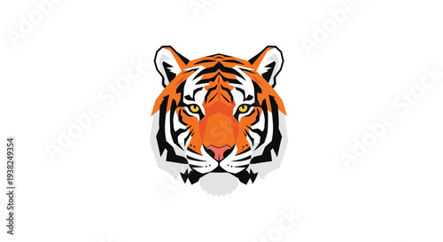 Closeup of tiger face looking forward.