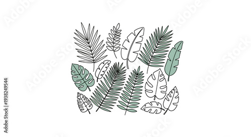 Collection of Various Hand Drawn Leaves.