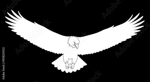 White bird silhouette flying against black background.