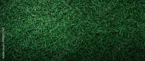 Panel kuchenny z motywem Direct top view of fresh green grass field texture background with copy space